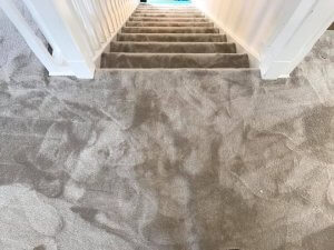 carpets stairs dundee
